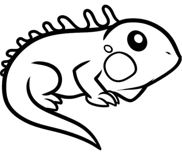 Desenho de Iguana Adorável para Colorir e Pintar