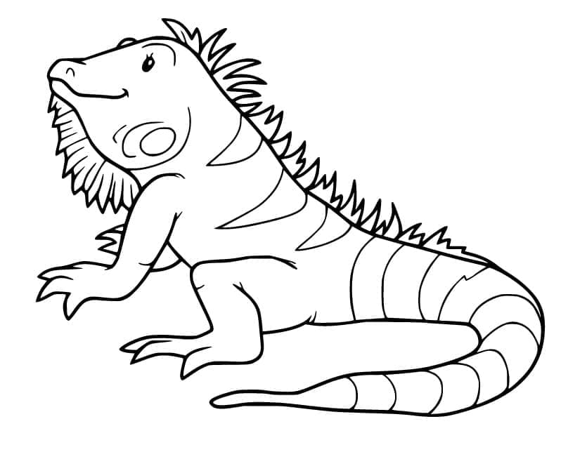 Desenho de Iguana Animada para Colorir e Pintar
