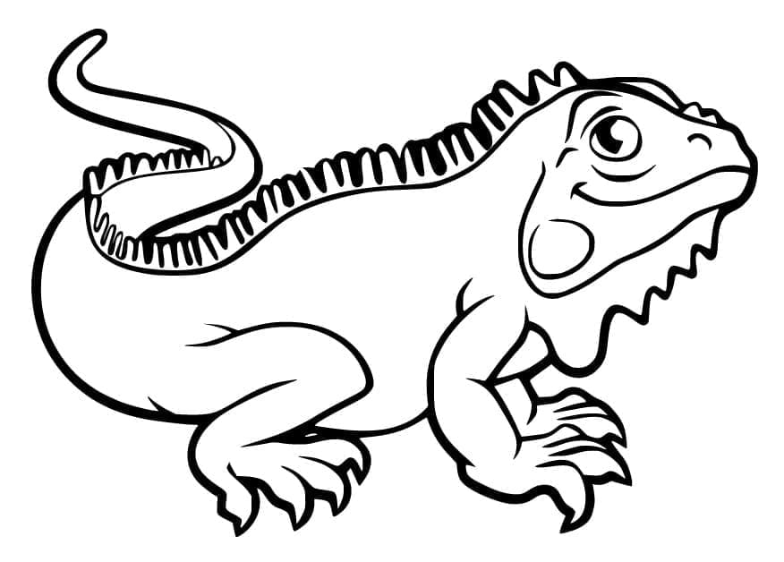 Desenho de Iguana de Desenho Animado para Colorir e Pintar
