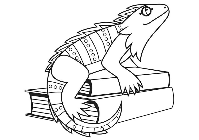 Desenho de Iguana e Livros para Colorir e Pintar