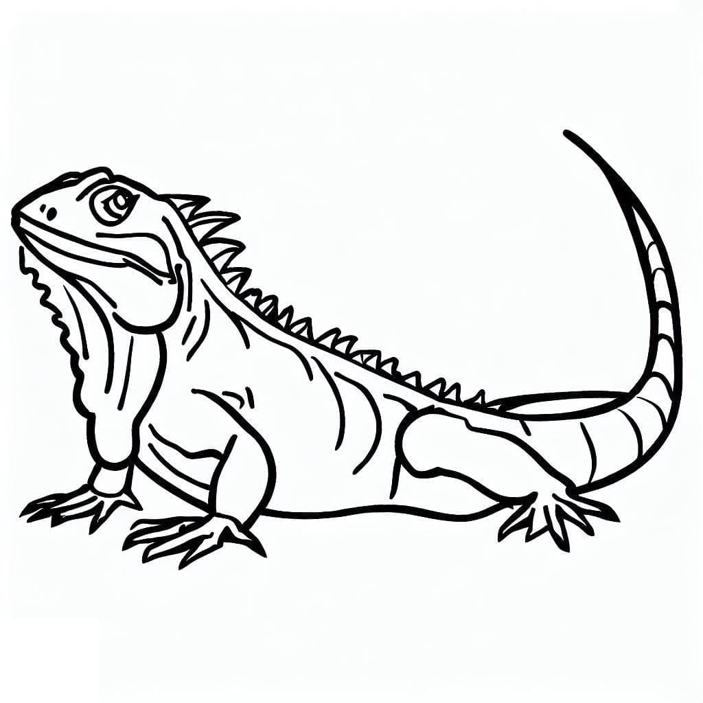 Desenho de Iguana e Pintar