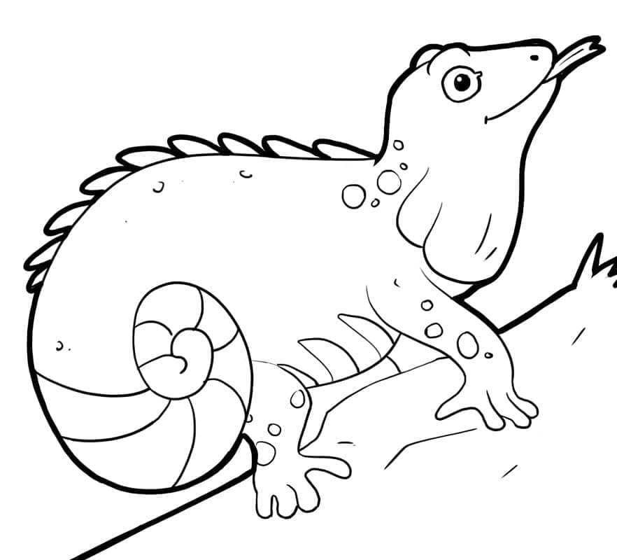 Desenho de Iguana Fofa para Colorir e Pintar