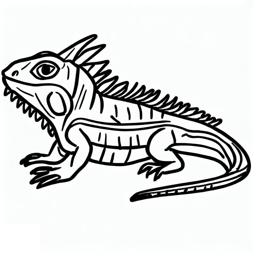 Desenho de Iguana Grátis para Colorir e Pintar