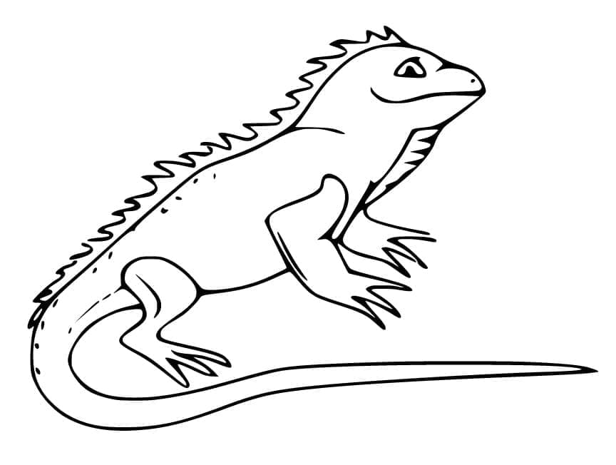 Desenho de Iguana Sorridente para Colorir e Pintar