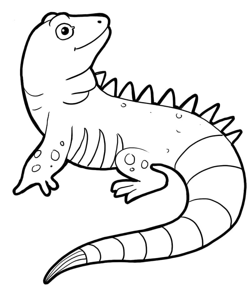 Desenho de uma Iguana Feliz para Colorir e Pintar