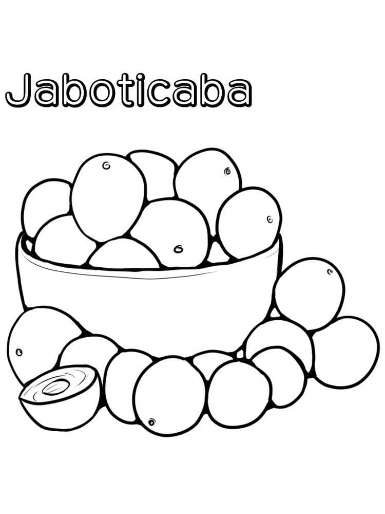 Desenho de Jabuticaba para Imprimir e Pintar