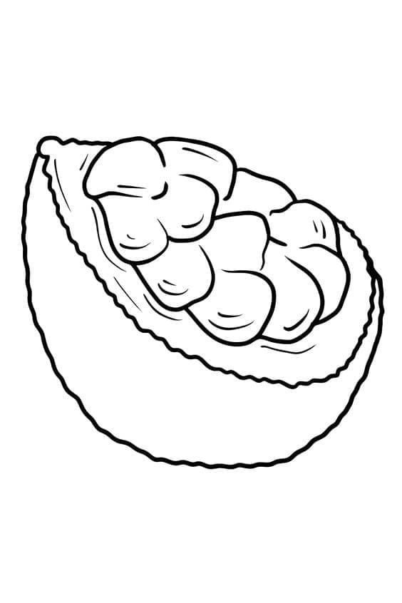 Desenho de Jaca Grátis para Colorir e Pintar