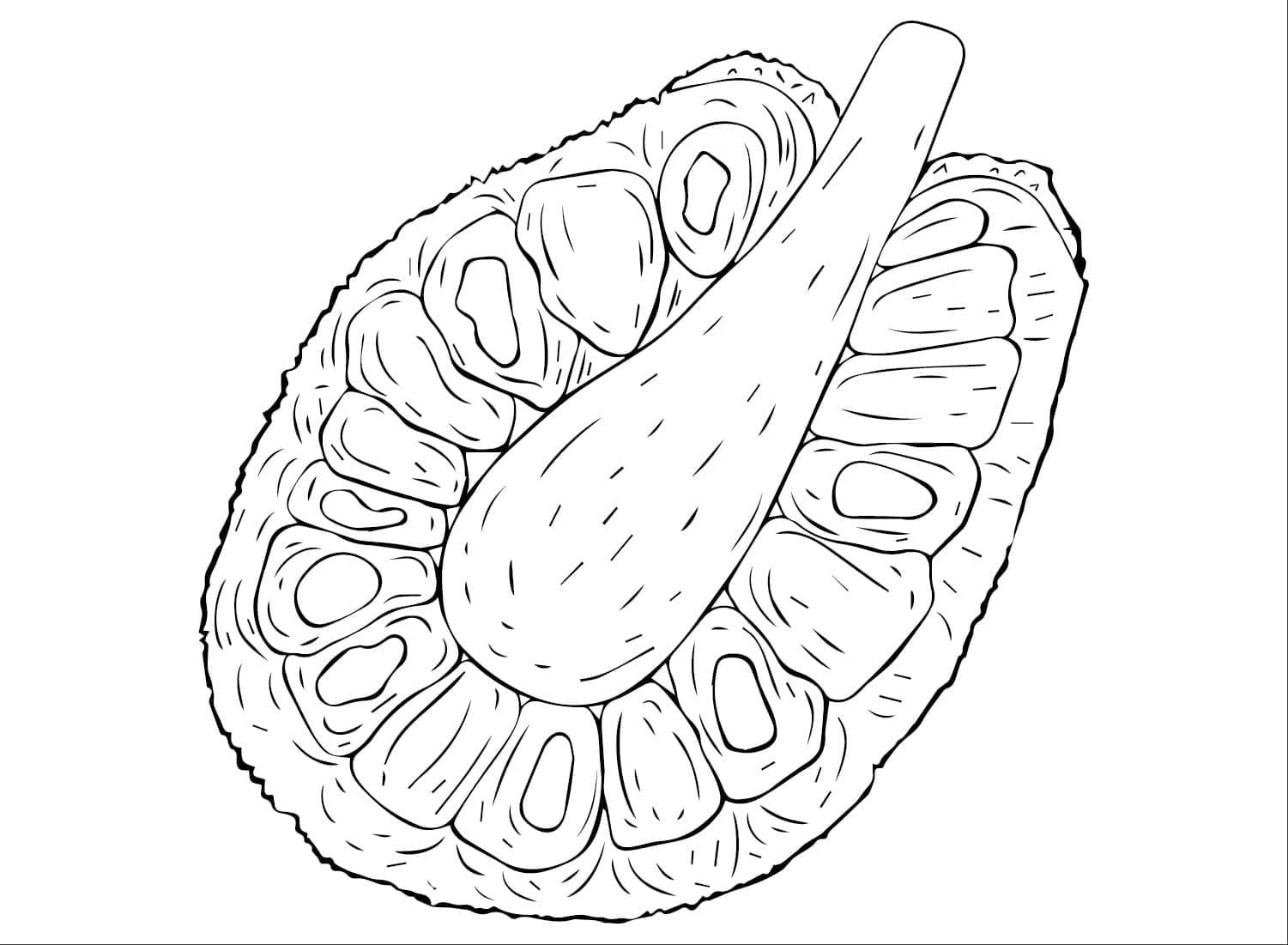 Desenho de Jaca Imprimivel para Colorir e Pintar
