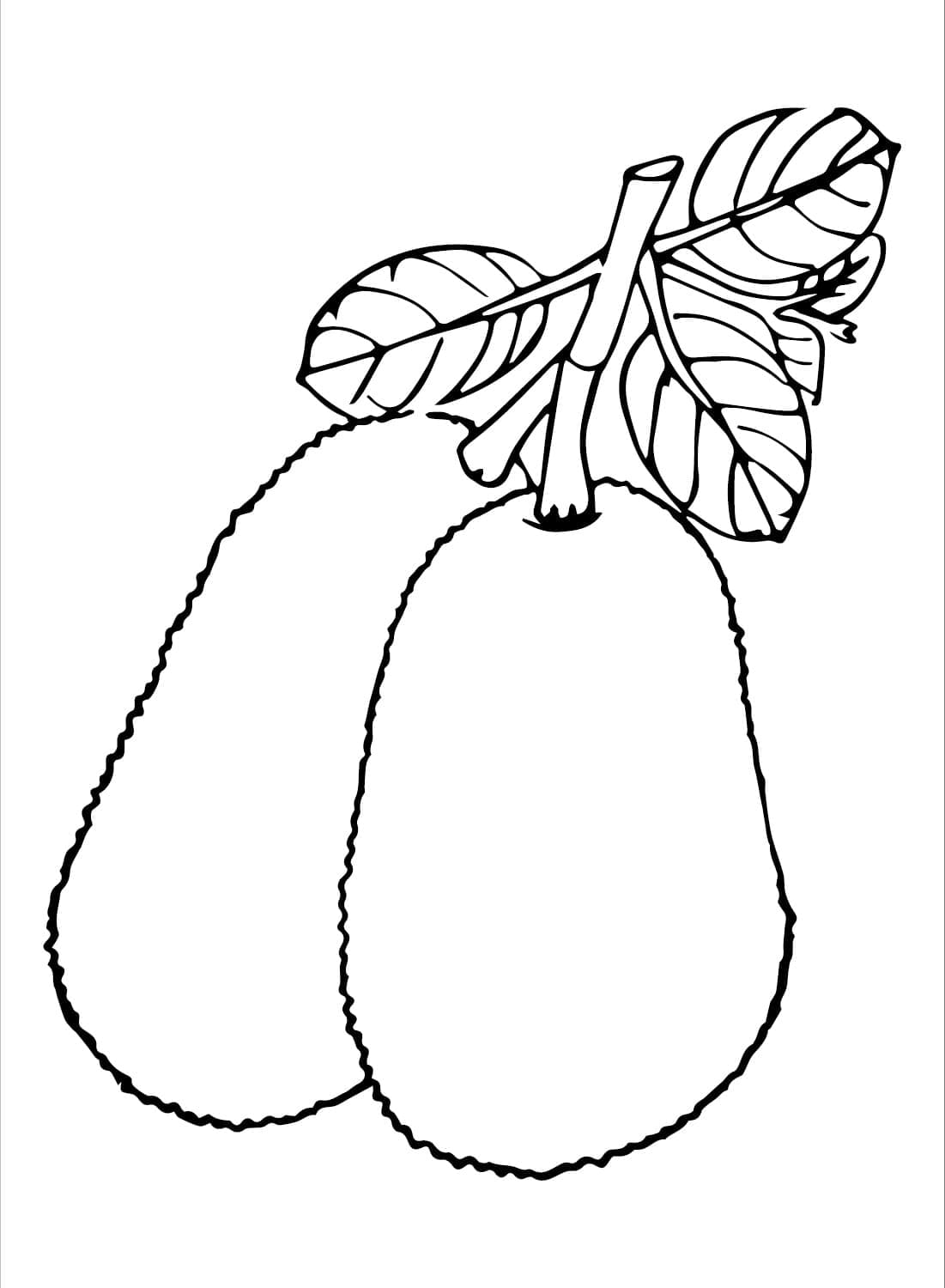 Desenho de Jacas para Colorir e Pintar