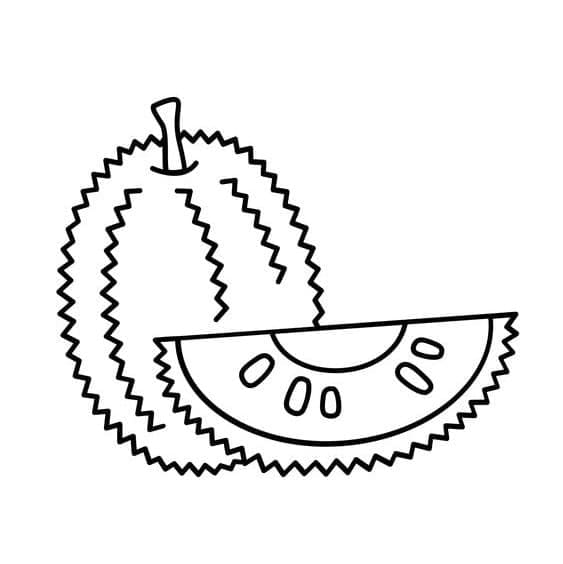 Desenho de uma Jaca Fácil para Colorir e Pintar