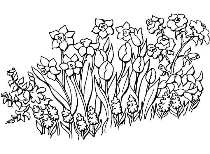 Desenho de Jardim de Flores de Verão para Colorir e Pintar