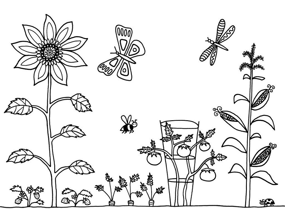 Desenho de Jardim de Flores para Imprimir e Pintar