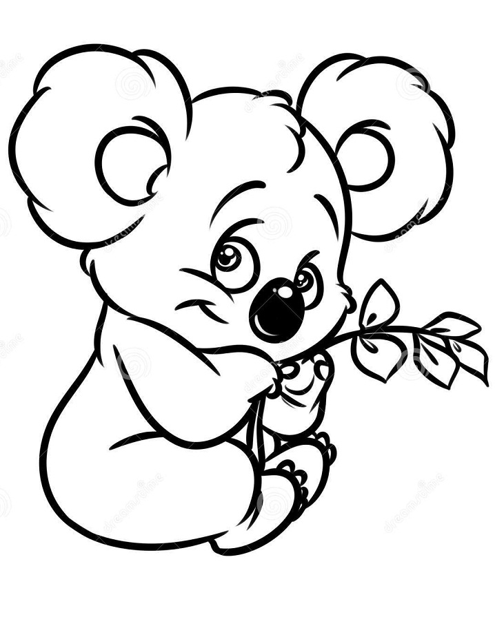Desenho de Coala Kawaii Segurando Eucalipto para Colorir Pdf e Pintar