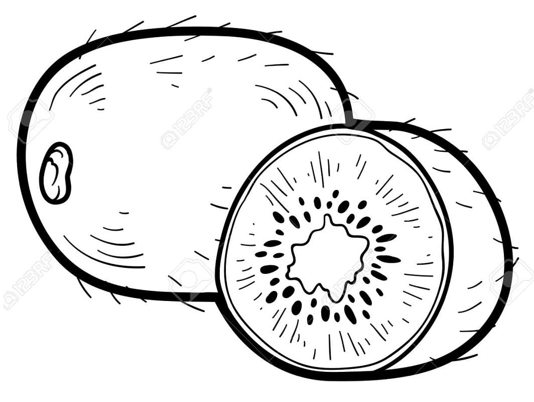 Desenho de Kiwi Download Pintar