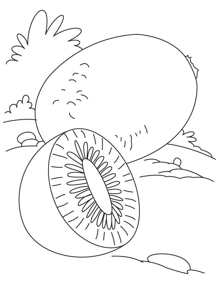 Desenho de Kiwi Grátis para Colorir e Pintar