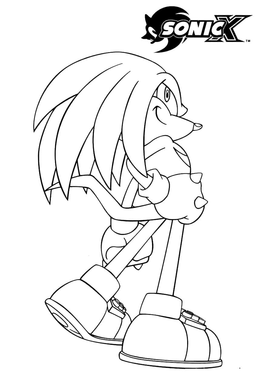 Desenho de Knuckles The Echidna de Sonic X para Colorir e Pintar