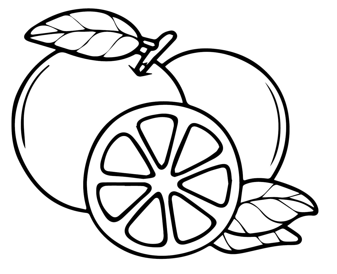 Desenho de Laranja Fresca para Colorir e Pintar