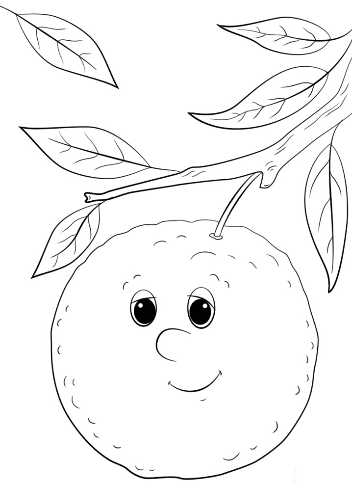 Desenho de Laranja para Colorir Tinta Guache e Pintar