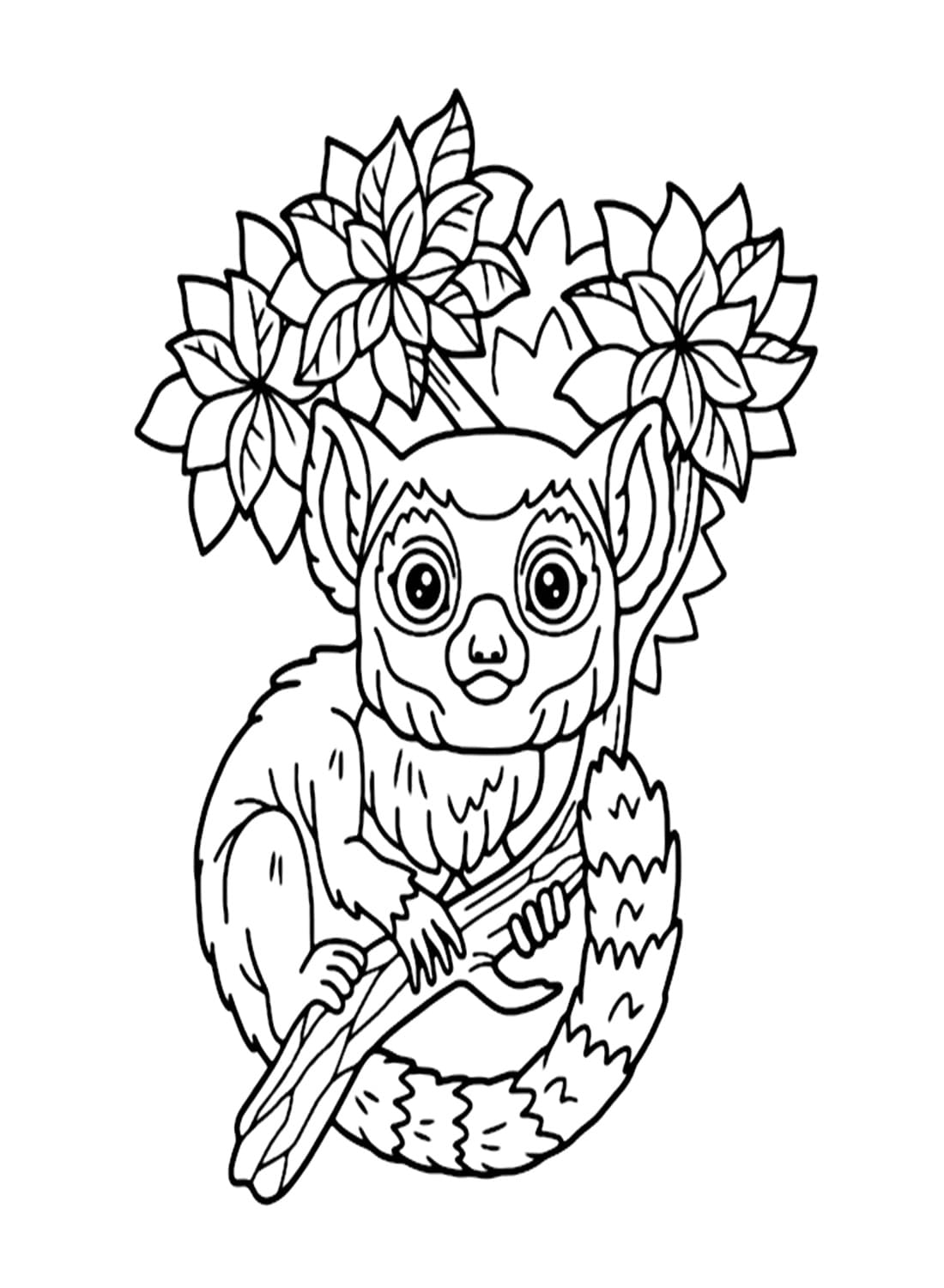 Desenho de Lemure Bonitinho para Colorir e Pintar