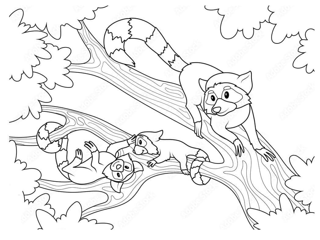 Desenho de Lemures na Árvore para Colorir e Pintar