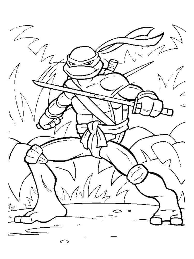 Desenho de Tartarugas Ninja Leonardo Animado para Colorir e Pintar