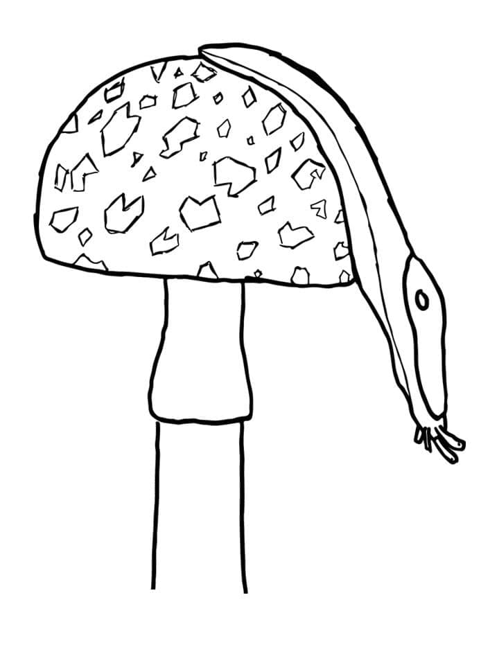 Desenho de Lesma em um Cogumelo para Colorir e Pintar