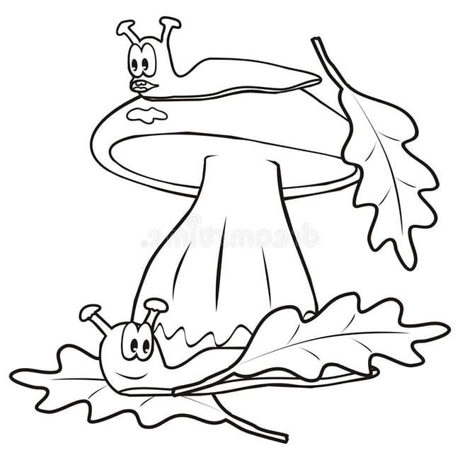 Desenho de Lesmas para Colorir e Pintar