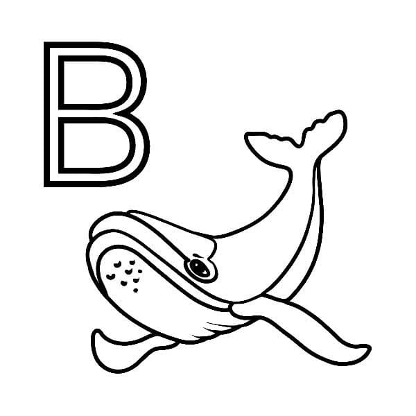 Desenho de Letra B e Baleia para Colorir e Pintar