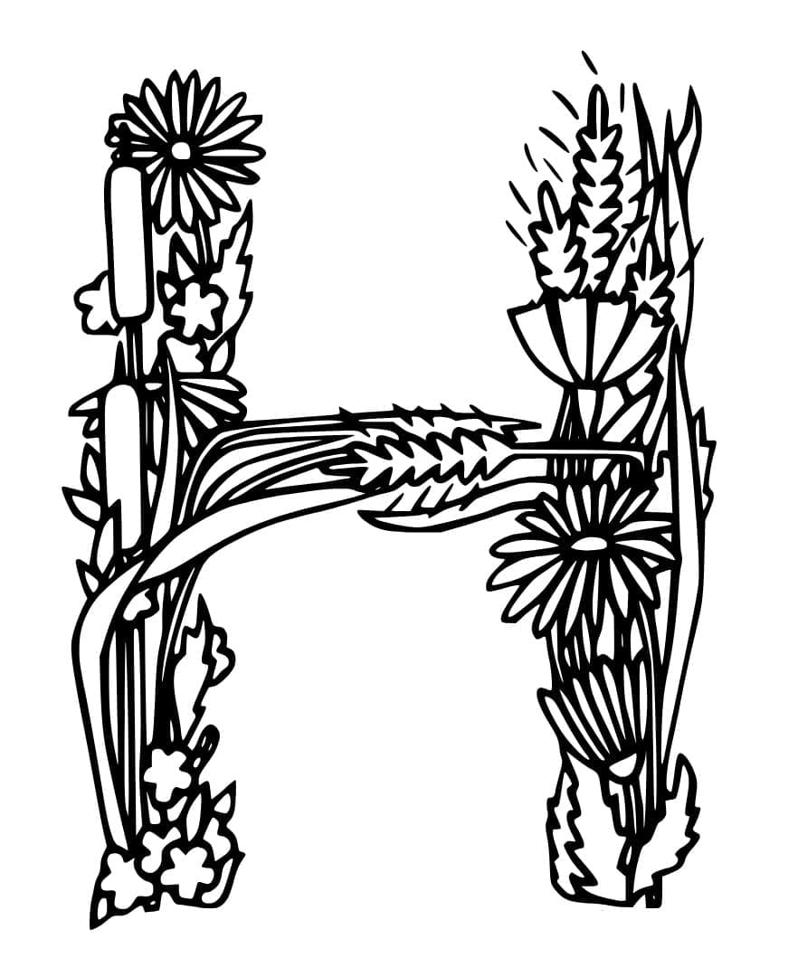 Desenho de Incrível Letra H para Colorir e Pintar