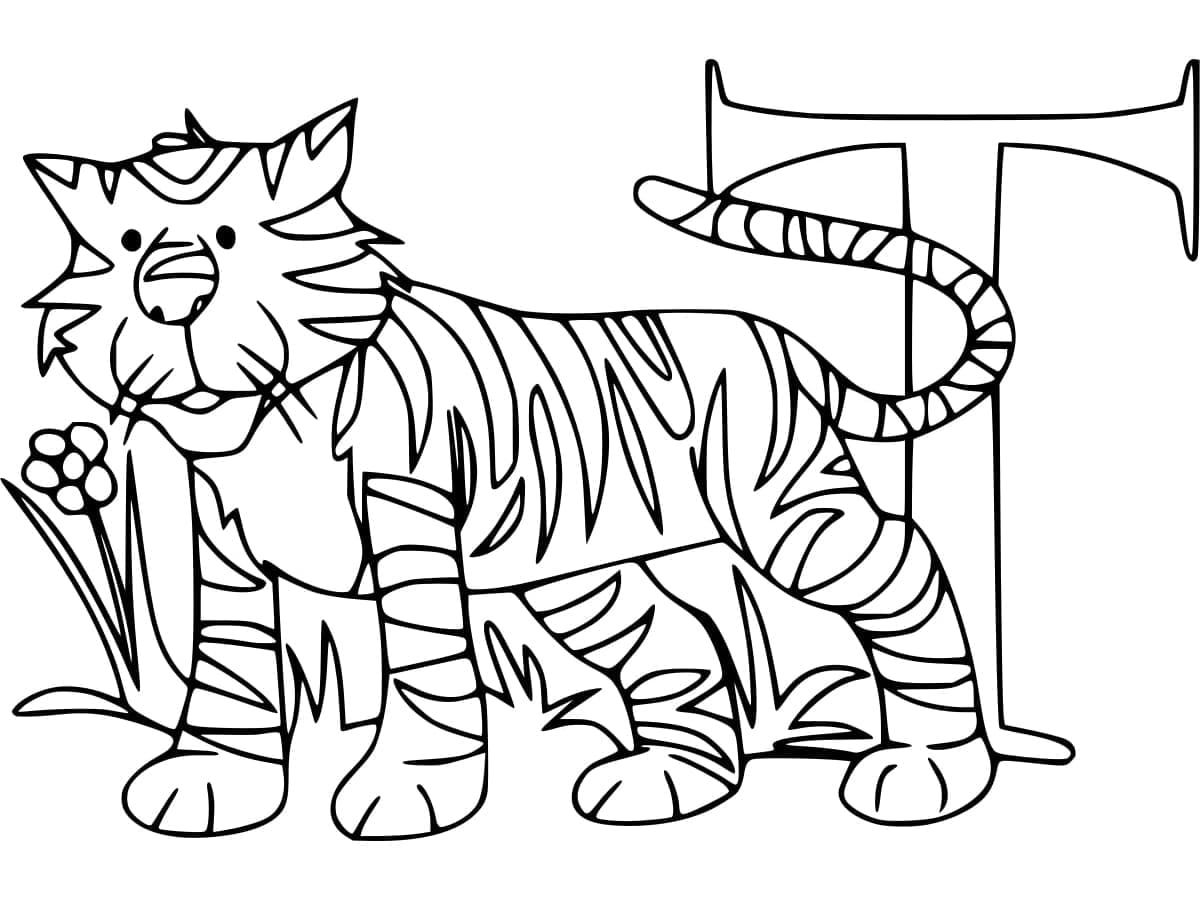 Desenho de Letra T e para Tigre para Colorir e Pintar