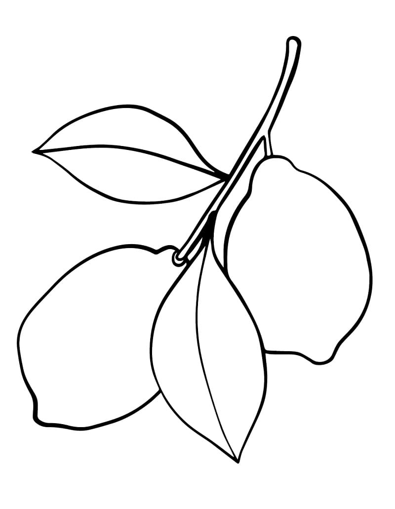 Desenho de Dois Limões para Colorir e Pintar