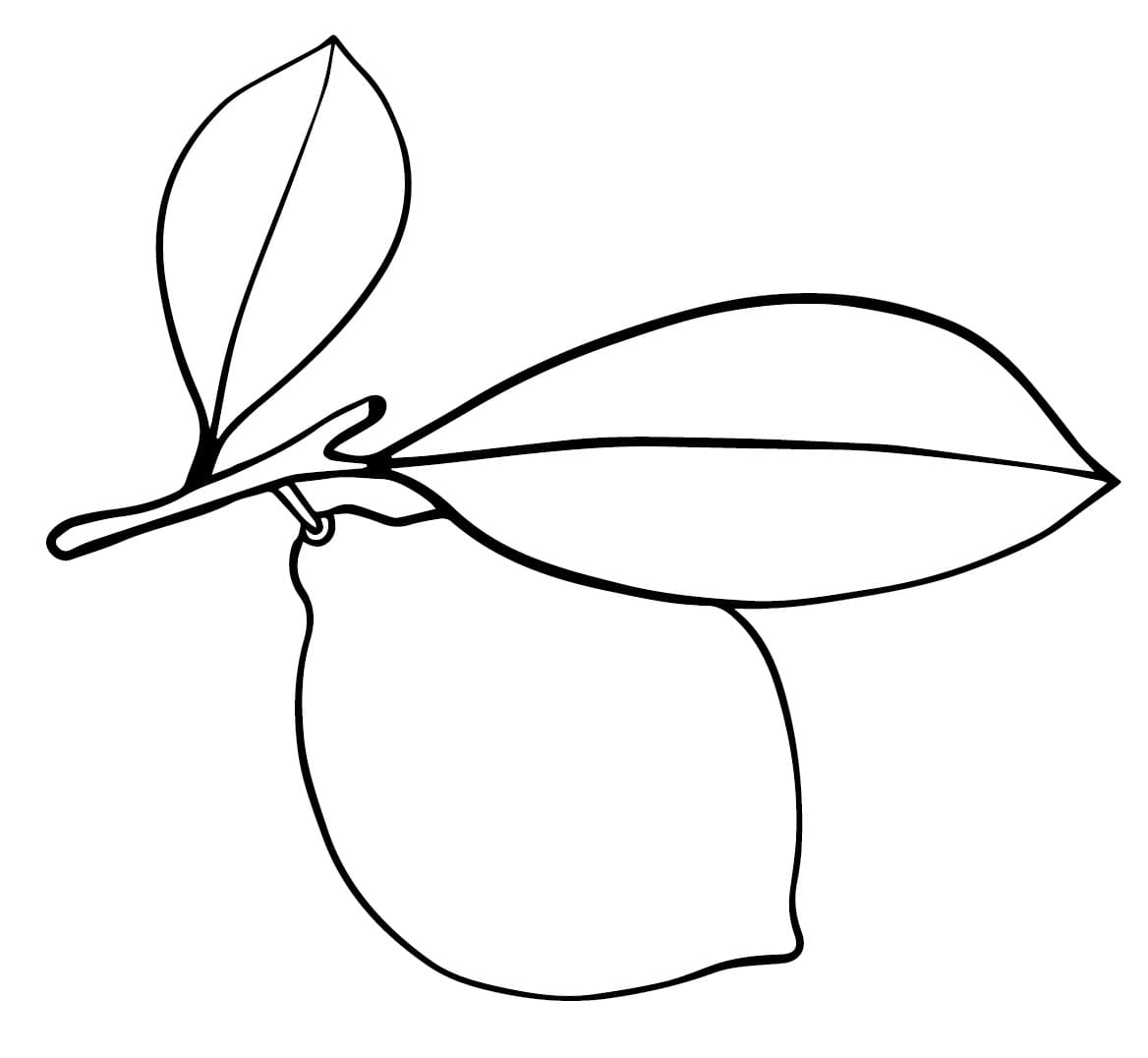 Desenho de Limão Fácil para Colorir e Pintar