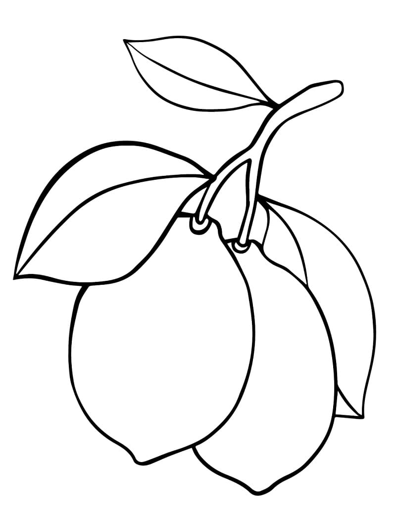 Desenho de Limões para Colorir e Pintar