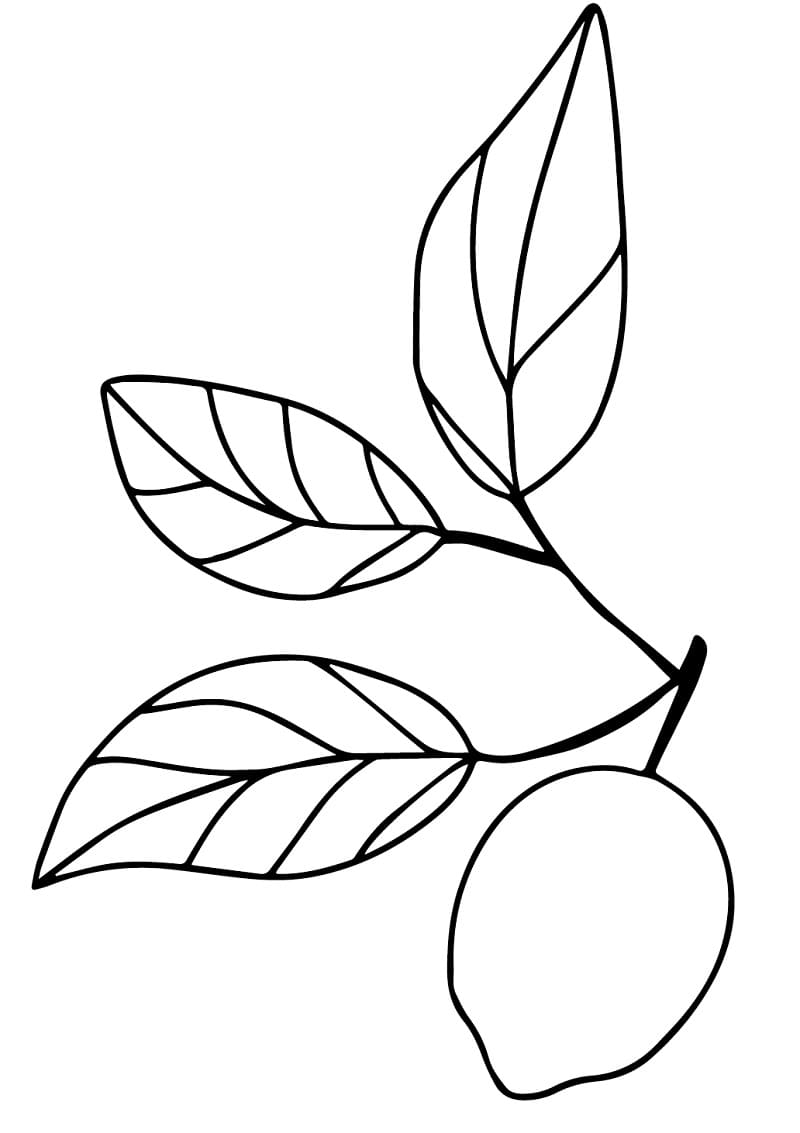 Desenho de um Limão para Colorir e Pintar