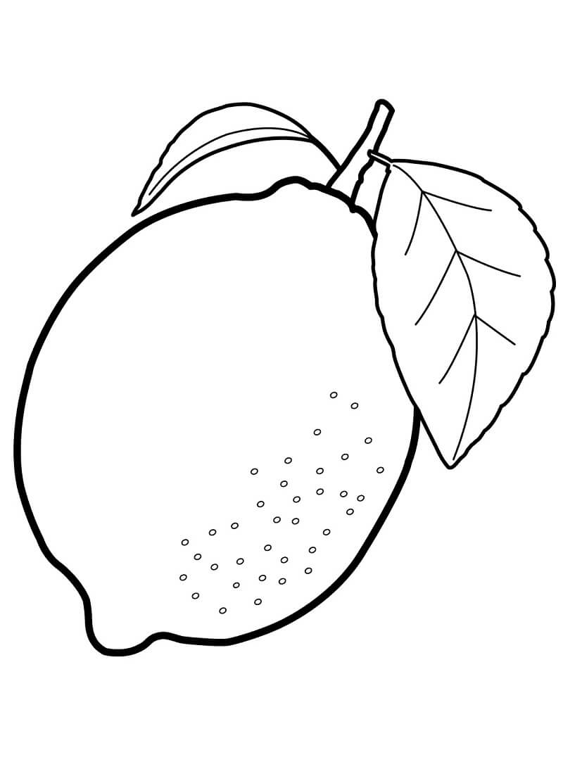 Desenho de Limão para Colorir Fácil Pdf e Pintar