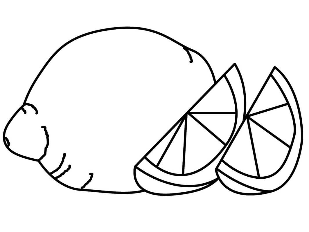 Desenho de Limão para Colorir Imprimivel e Pintar