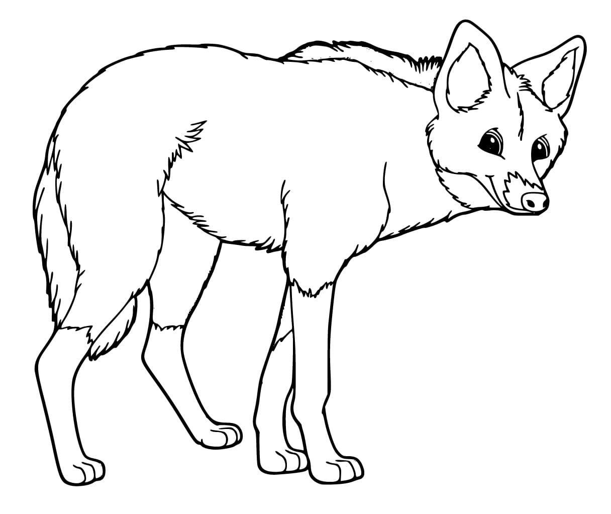 Desenho de Lobo Guara Feliz para Colorir e Pintar