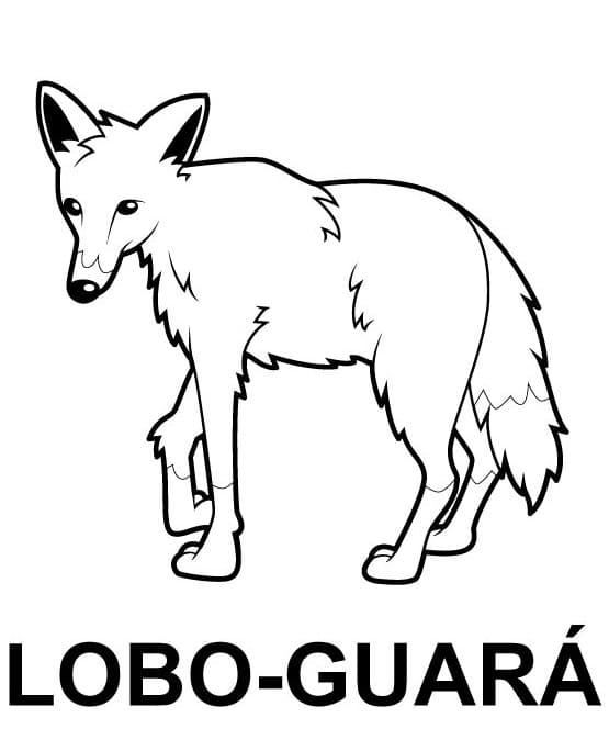 Desenho de Lobo Guara Imprimivel Grátis para Crianças para Colorir e Pintar