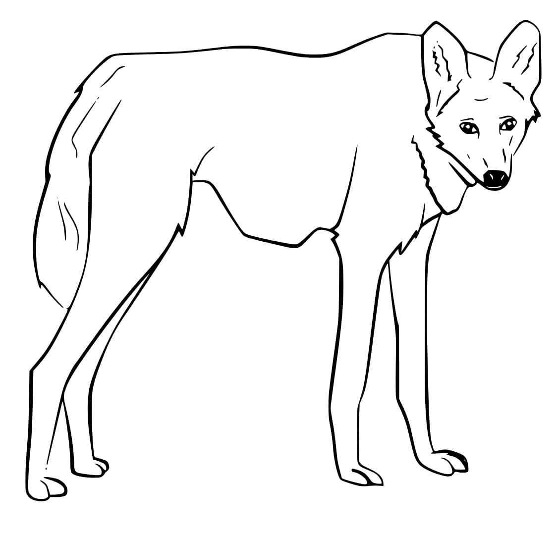 Desenho de um Lobo Guara para Colorir e Pintar