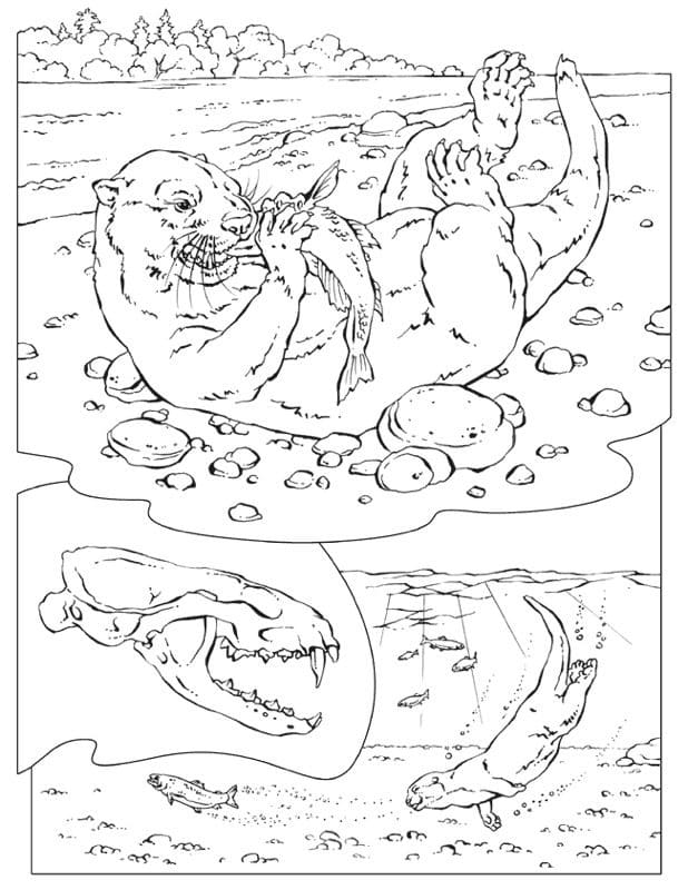Desenho de Lontra Comendo Peixe para Colorir e Pintar
