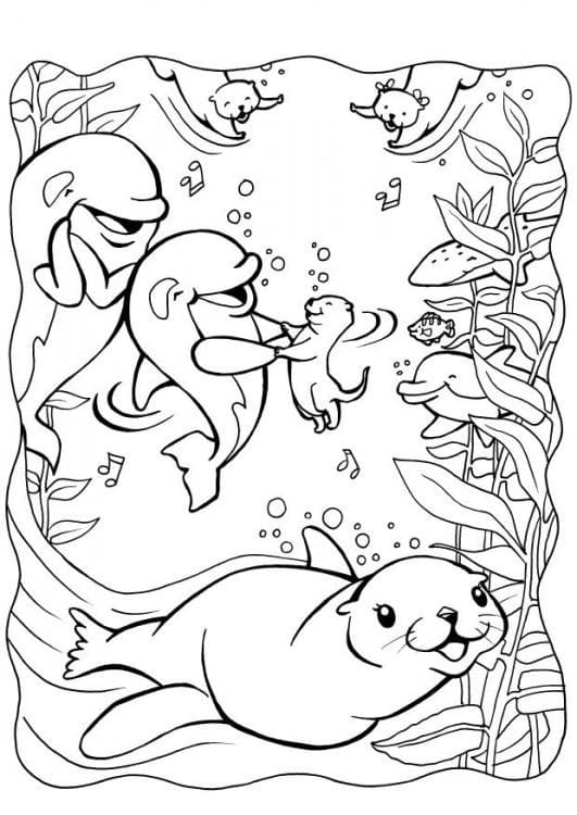 Desenho de Lontras e Golfinhos para Colorir e Pintar