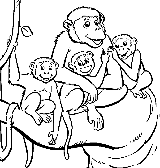 Desenho de Família de Macaco na Floresta para Colorir de Graça e Pintar