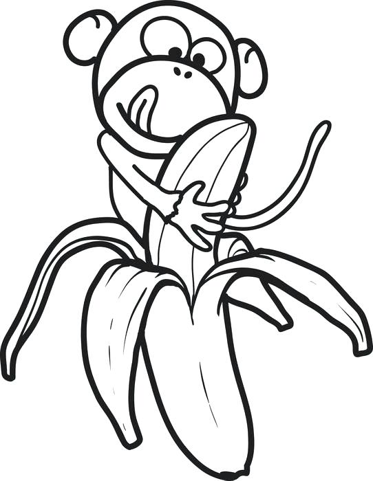 Desenho de Macaco Comendo Banana na Floresta para Colorir e Pintar