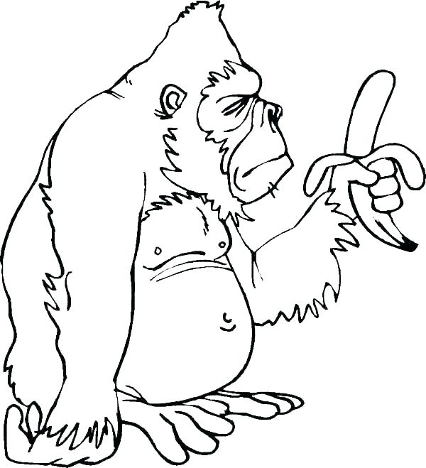 Desenho de Macaco Gorila Comendo Banana para Colorir Pdf e Pintar