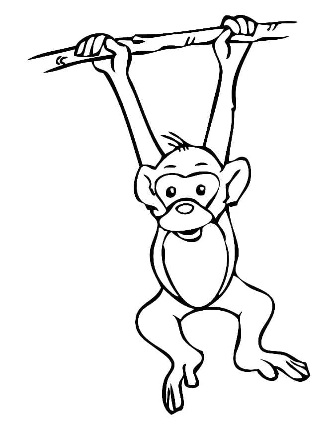 Desenho de Macaco Pendurado para Colorir e Pintar