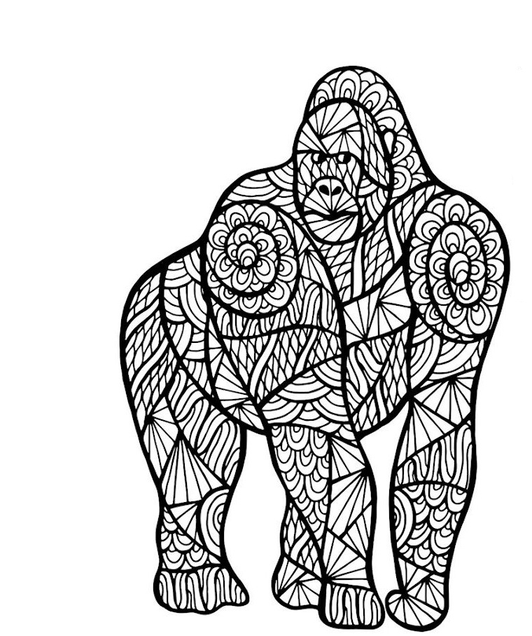 Desenho de Mandala de Macaco Pdf para Colorir e Pintar