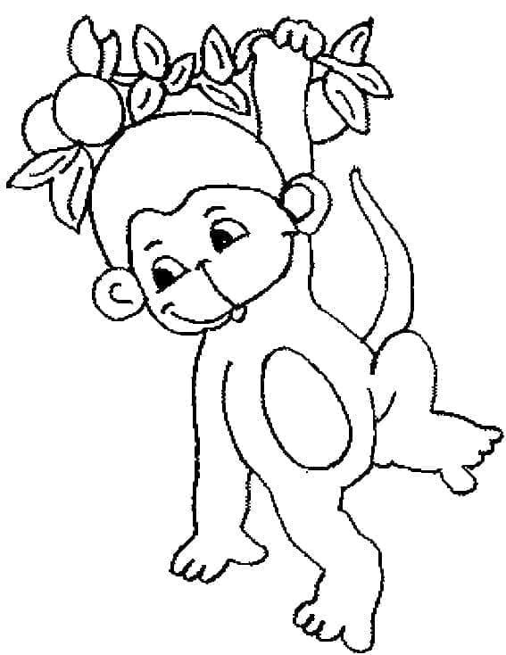 Desenho de um Macaquinho para Colorir e Pintar