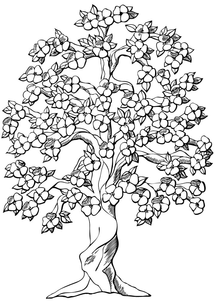 Desenho de Árvore Macieira para Colorir Pdf e Pintar