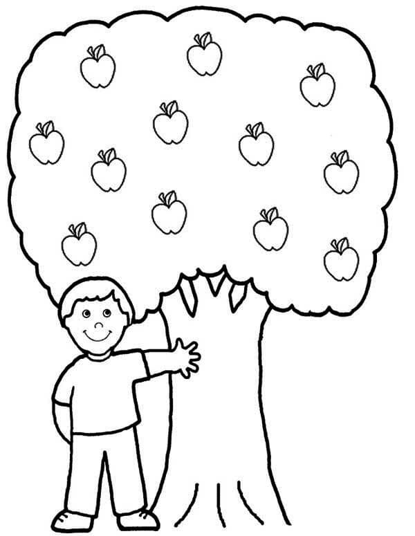 Desenho de Árvore Macieira para Pintar Tinta Guache