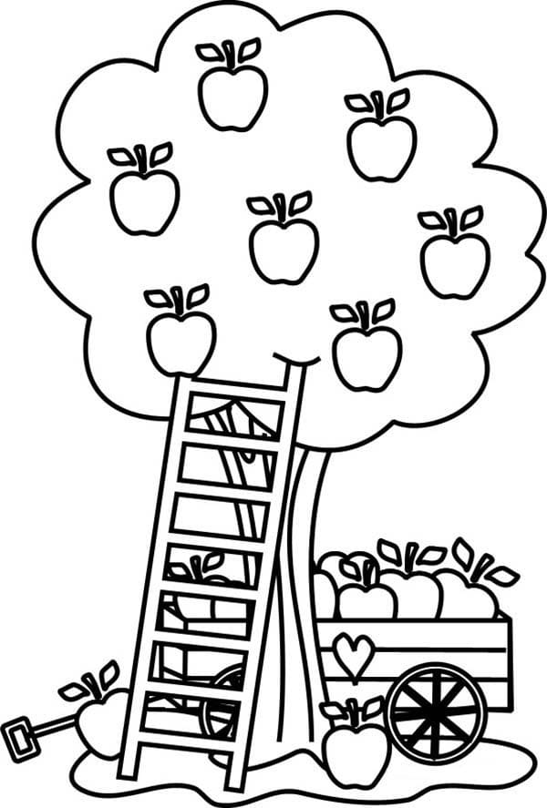 Desenho de Macieira para Colorir Download Pdf e Pintar